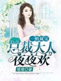《无敌双宝：首席大人是男神》封面